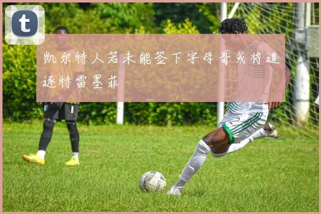凯尔特人若未能签下字母哥或将追逐特雷墨菲