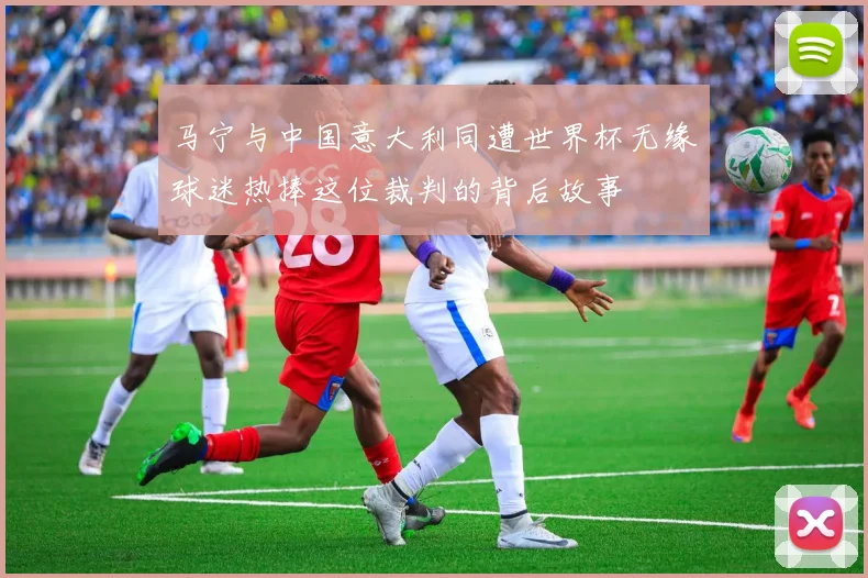 马宁与中国意大利同遭世界杯无缘球迷热捧这位裁判的背后故事